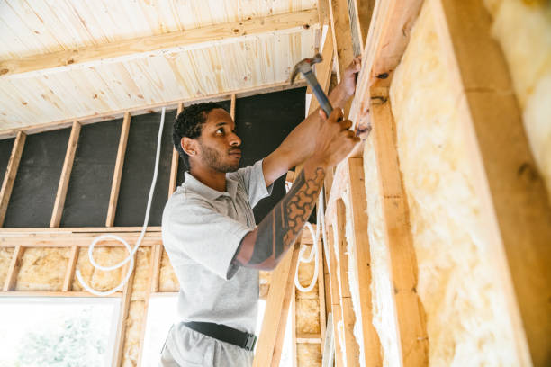 Best Insulation for New Construction  in Smyrna, TN
